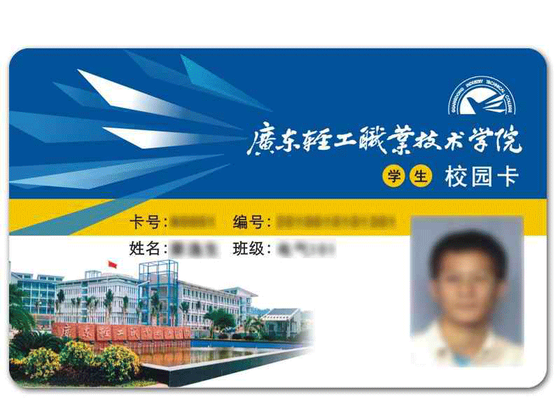Personalized license card